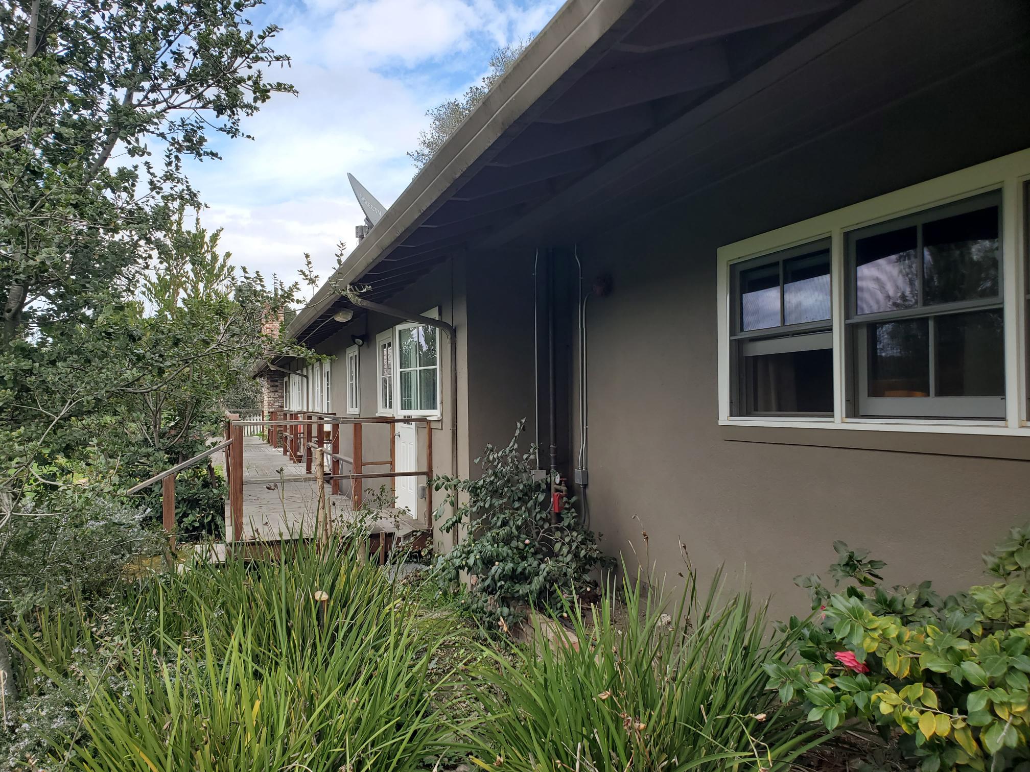 Exterior patio of Songbird